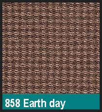 858 Earth Day